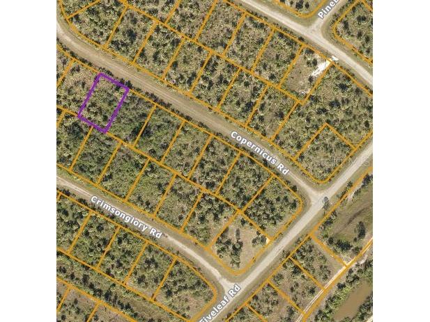 Lot 17 Copernicus Road North Port FL 34288 C7486337 image1