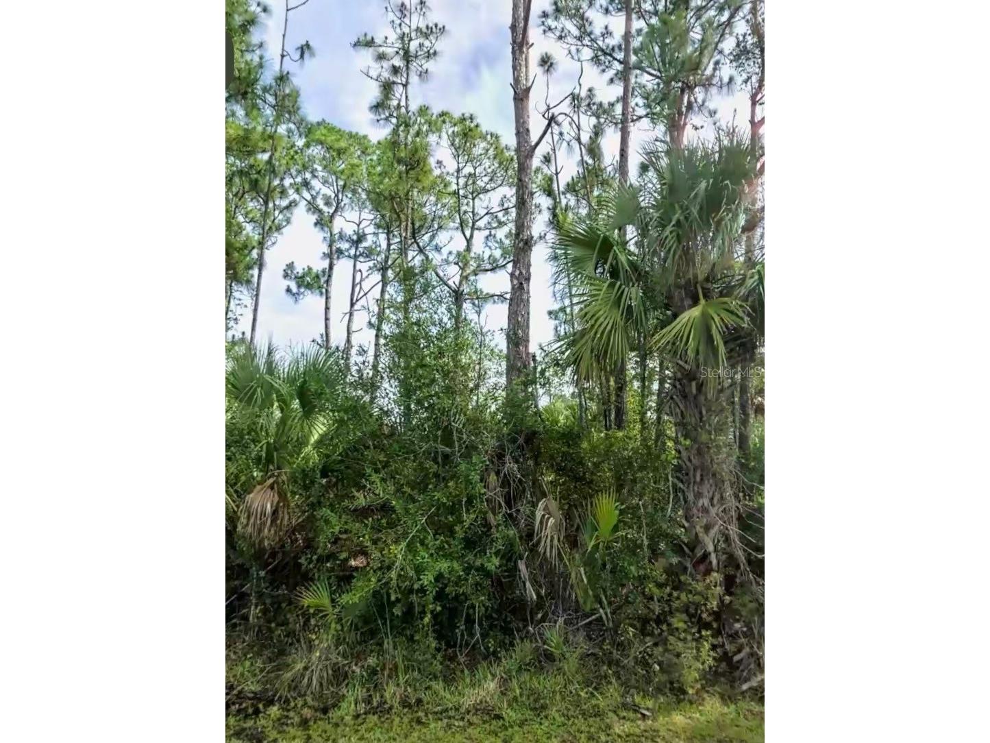 Lot 17 Donatello Avenue North Port FL 34286 A4685345 image1