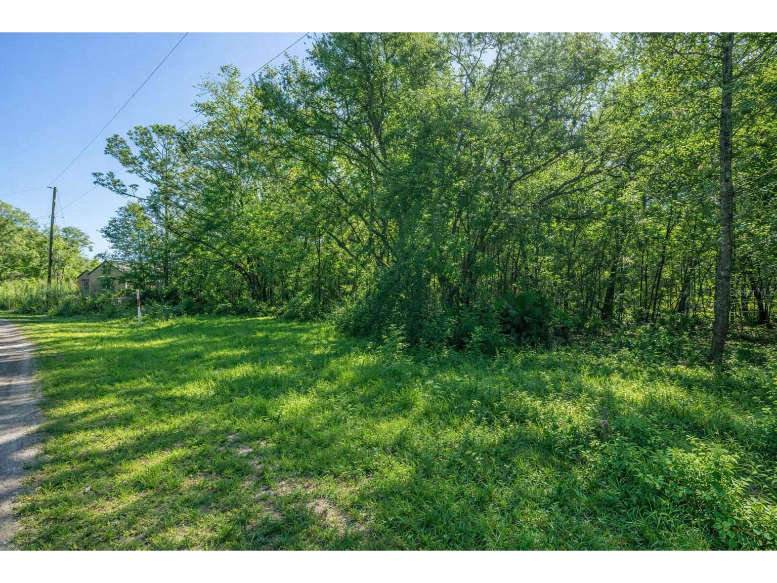 Lot#17 Guava Pass Ocklawaha FL 32179 OM716234 image1