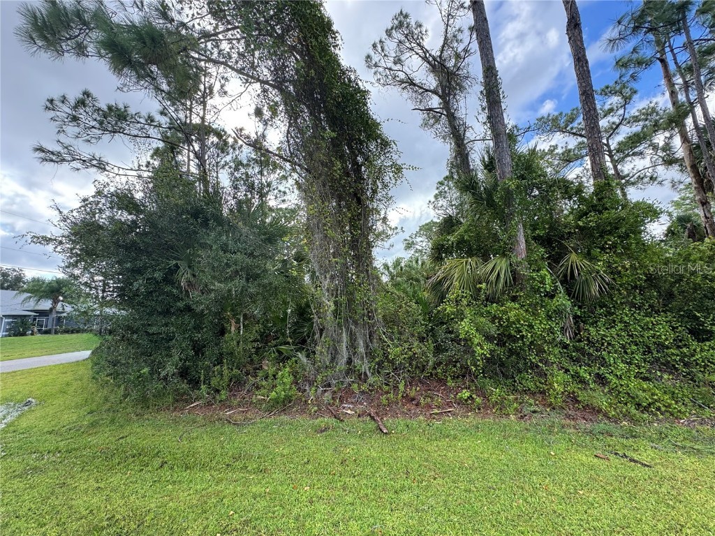 Lot 17 & Lot 18 Donatello Ave North Port FL 34286 A4655787 image3
