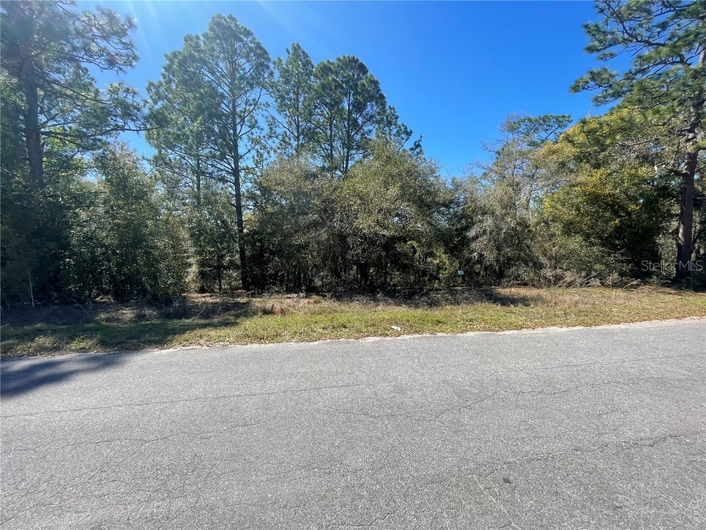Lot 17 Malauka Loop Ocklawaha FL 32179 A4648959 image1