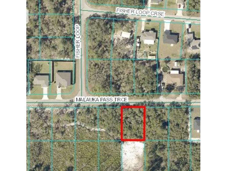 Lot 17 Maluaka Pass Trace Ocklawaha FL 32179 OM675783 image1