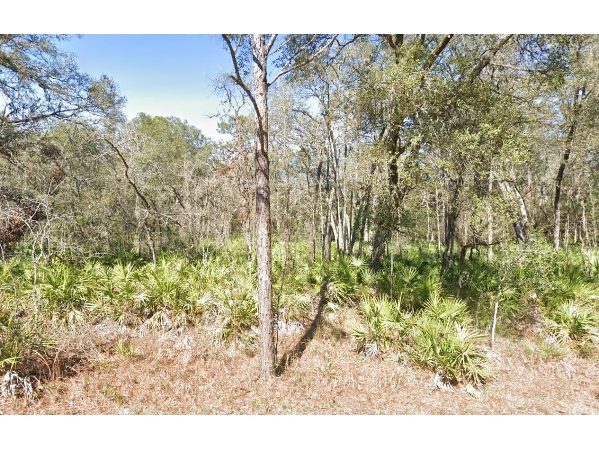 Lot 17 Overcup Drive Webster FL 33597 A4635308 image1