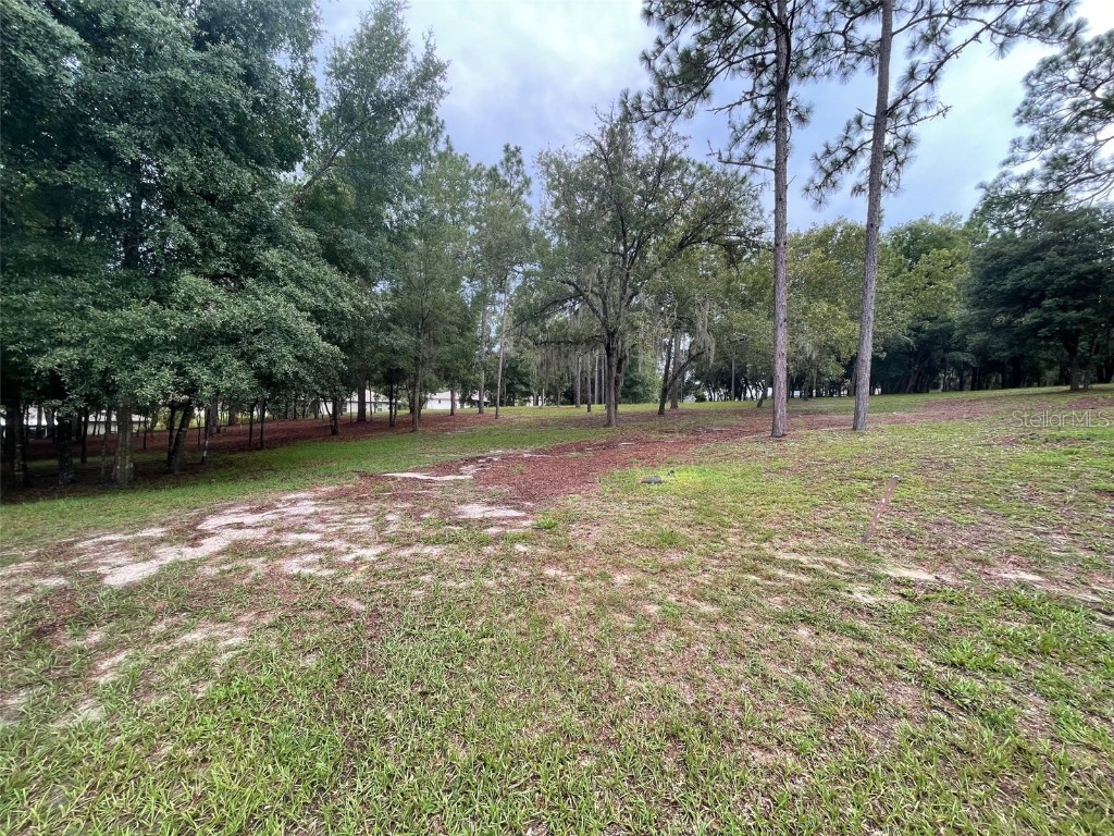 Lot 17 SW 194th Circle Dunnellon FL 34432 OM682768 image1