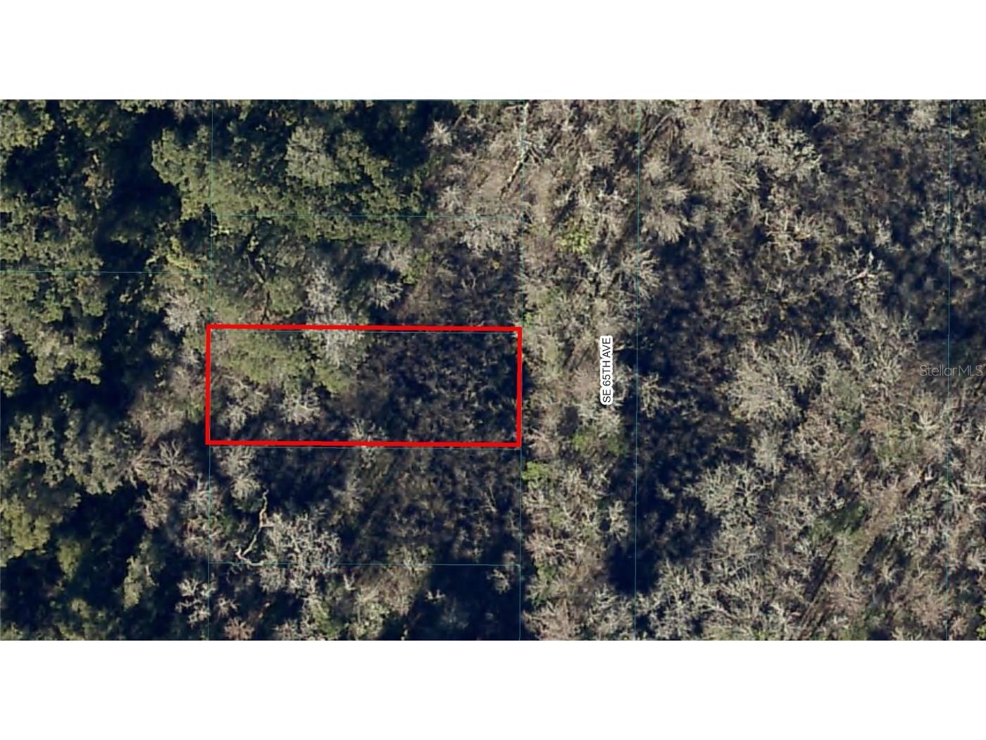 Lot 17 SW 65th Avenue Summerfield FL 34491 OM642903 image1