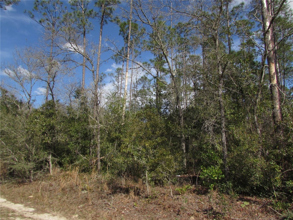 Lot 17 SW Westview Avenue Dunnellon FL 34431 OM695397 image1