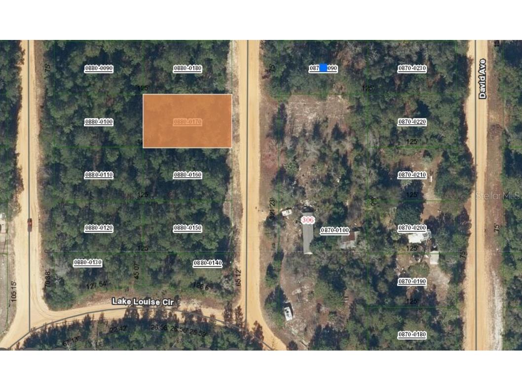 Lot 17 Theresa Avenue Interlachen FL 32148 OM696597 image1