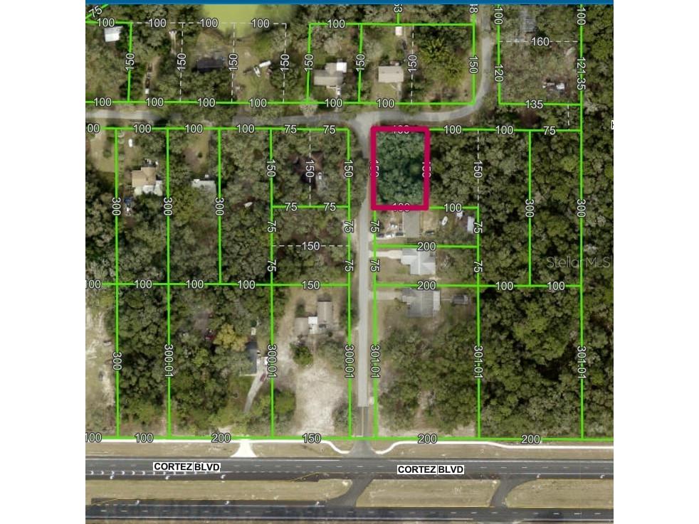 Lot 175C Madison Avenue Dade City FL 33523 W7877856 image1