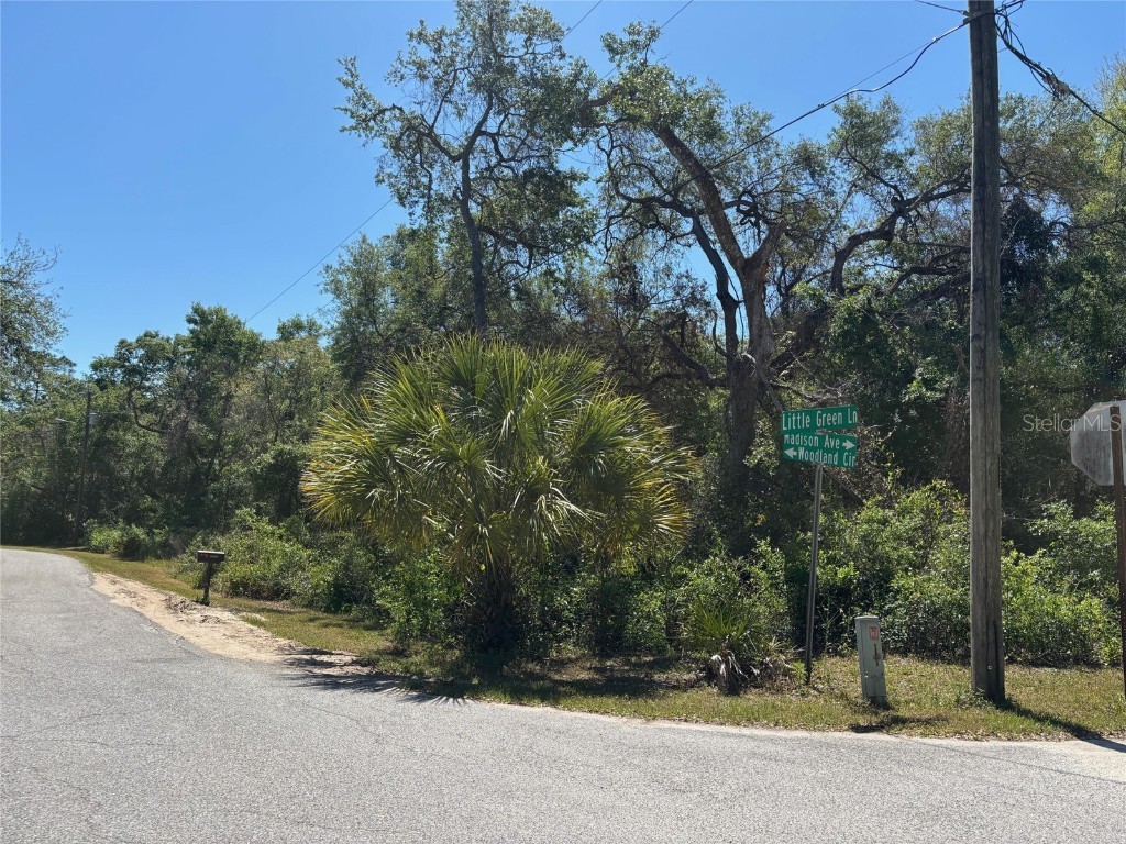 Lot 175C Madison Avenue Dade City FL 33523 W7877856 image2
