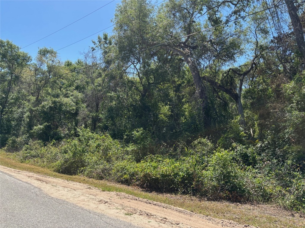 Lot 175C Madison Avenue Dade City FL 33523 W7877856 image3
