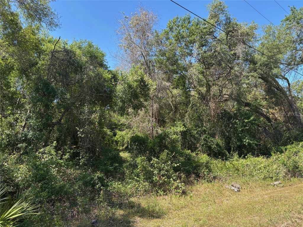 Lot 175C Madison Avenue Dade City FL 33523 W7877856 image4