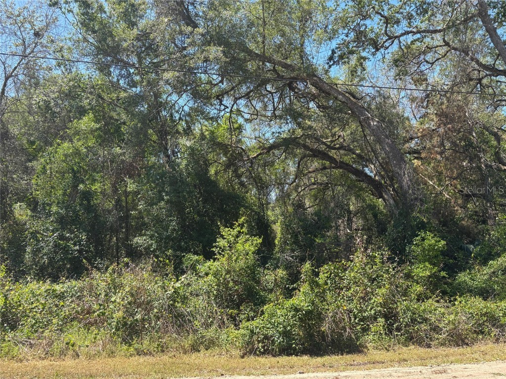 Lot 175C Madison Avenue Dade City FL 33523 W7877856 image5