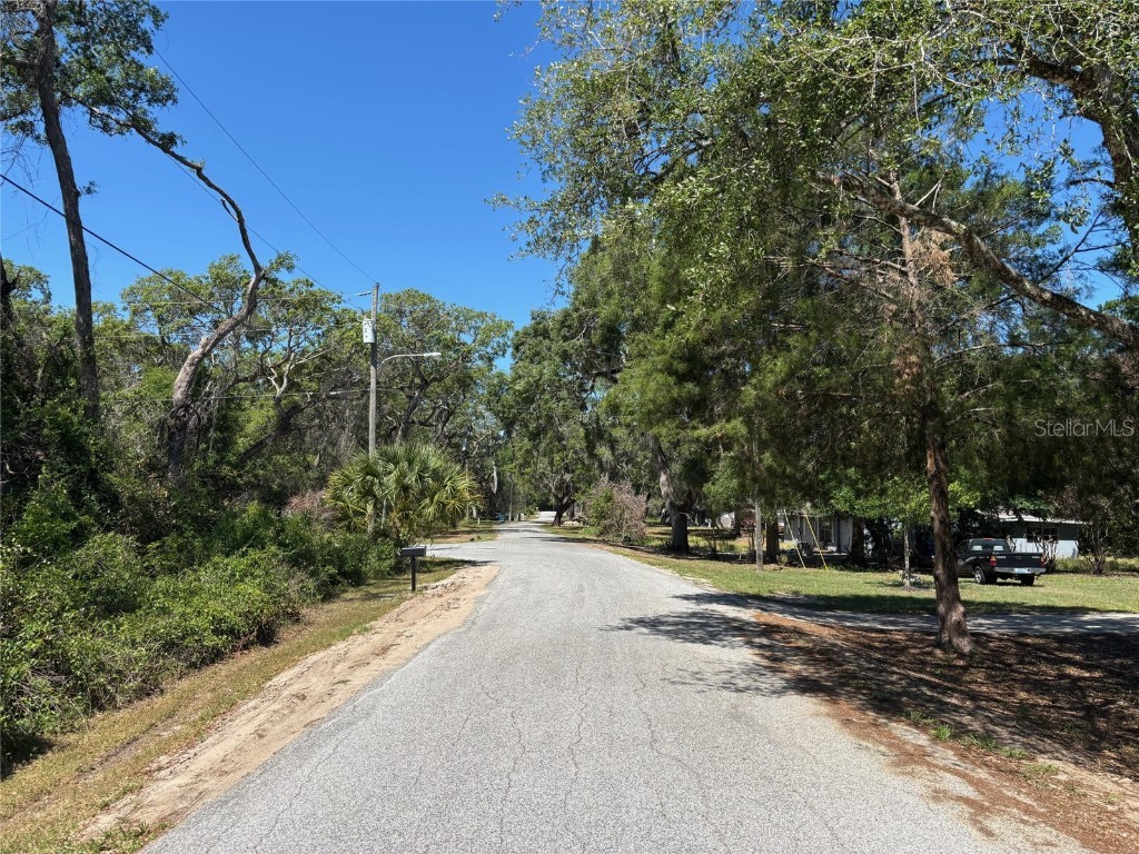 Lot 175C Madison Avenue Dade City FL 33523 W7877856 image6