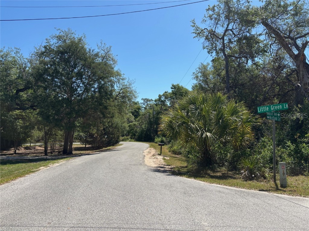 Lot 175C Madison Avenue Dade City FL 33523 W7877856 image7