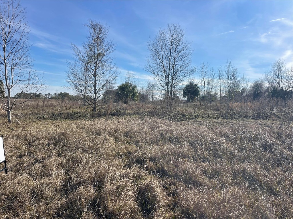 Lot 18 Hammock Grove Road Groveland FL 34736 O6272440 image1