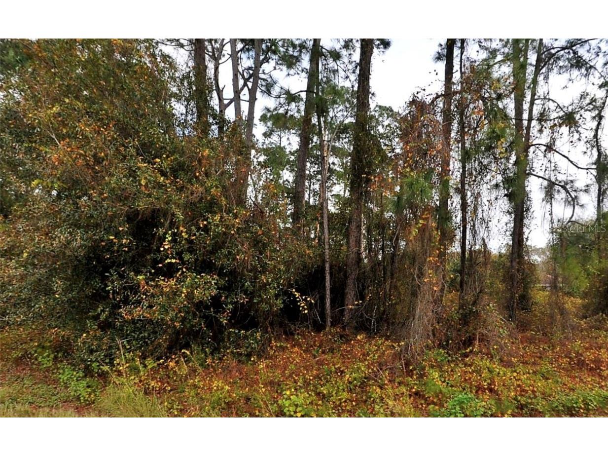 Lot 18 Senate Avenue North Port FL 34291 C7507996 image2