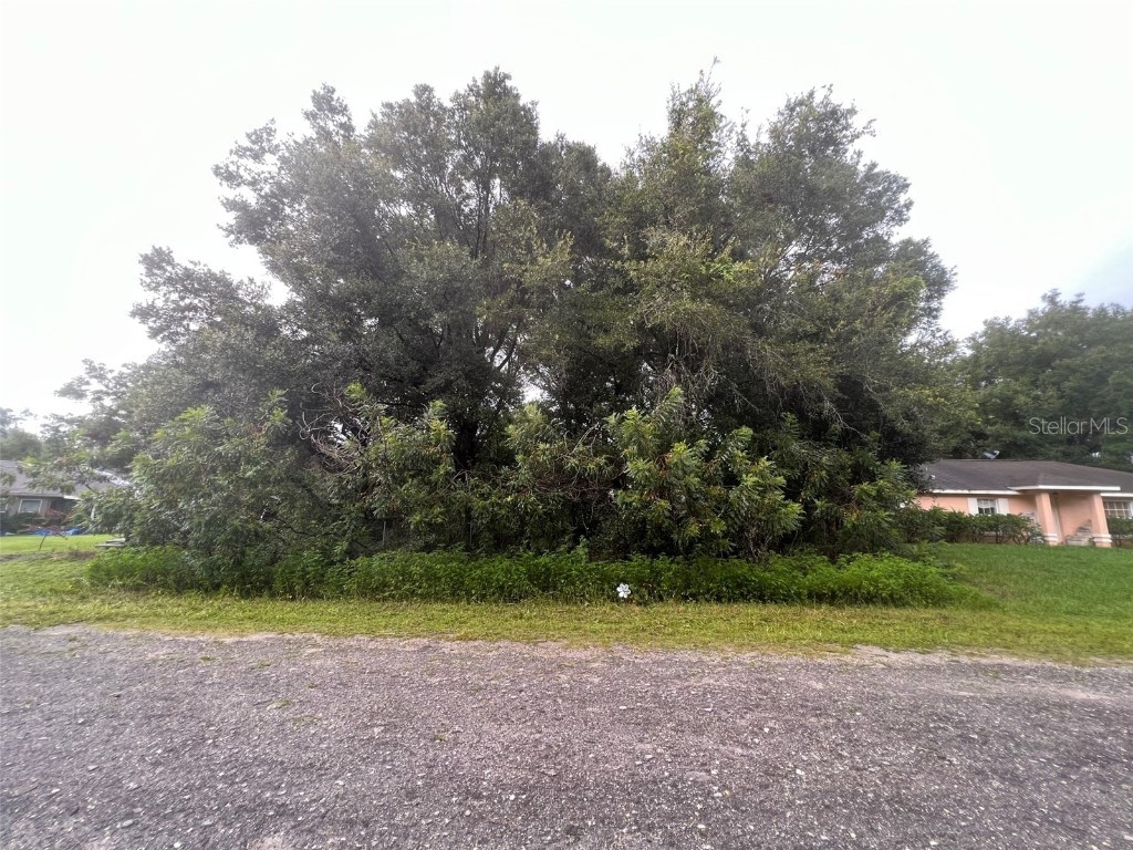 Lot 18 SW 107 Place Dunnellon FL 34432 OM661859 image1