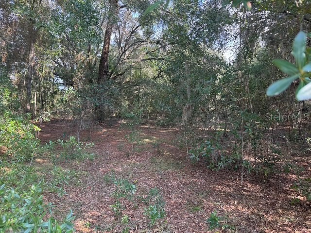 Lot 18 SW 146th Avenue Ocala FL 34481 OM709918 image2