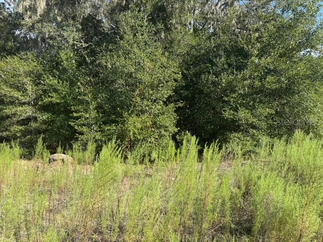 Lot 18 SW 146th Avenue Ocala FL 34481 OM709918 image4