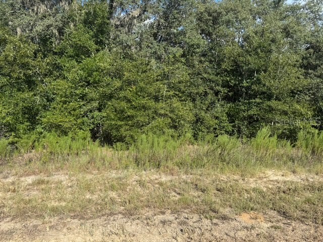 Lot 18 SW 146th Avenue Ocala FL 34481 OM709918 image7