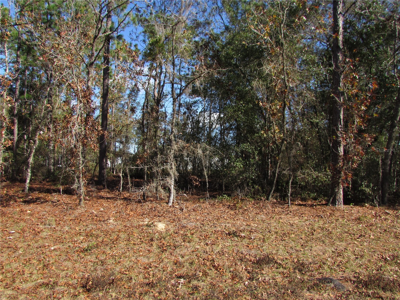 Lot 18 SW 156 Street Ocala FL 34473 OM716718 image1