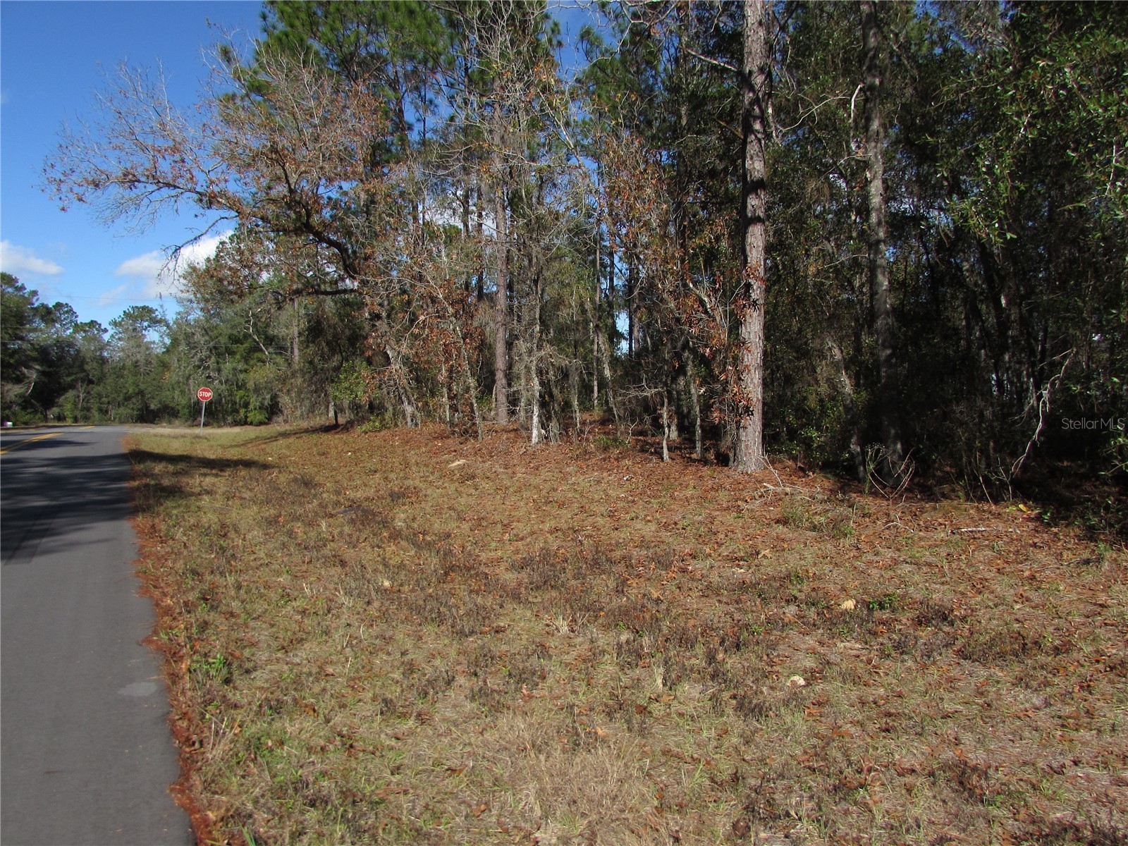 Lot 18 SW 156 Street Ocala FL 34473 OM716718 image10