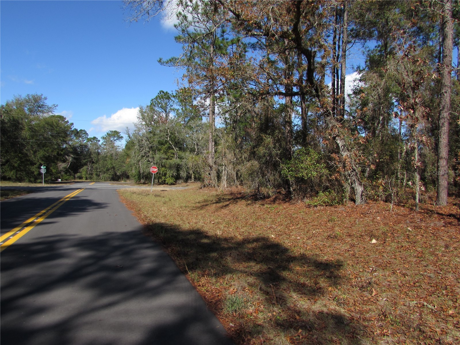 Lot 18 SW 156 Street Ocala FL 34473 OM716718 image3