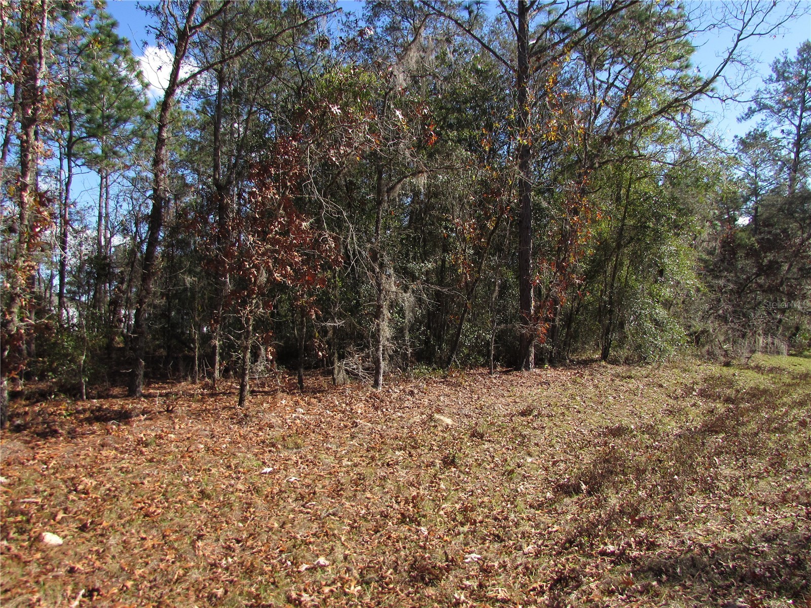 Lot 18 SW 156 Street Ocala FL 34473 OM716718 image4