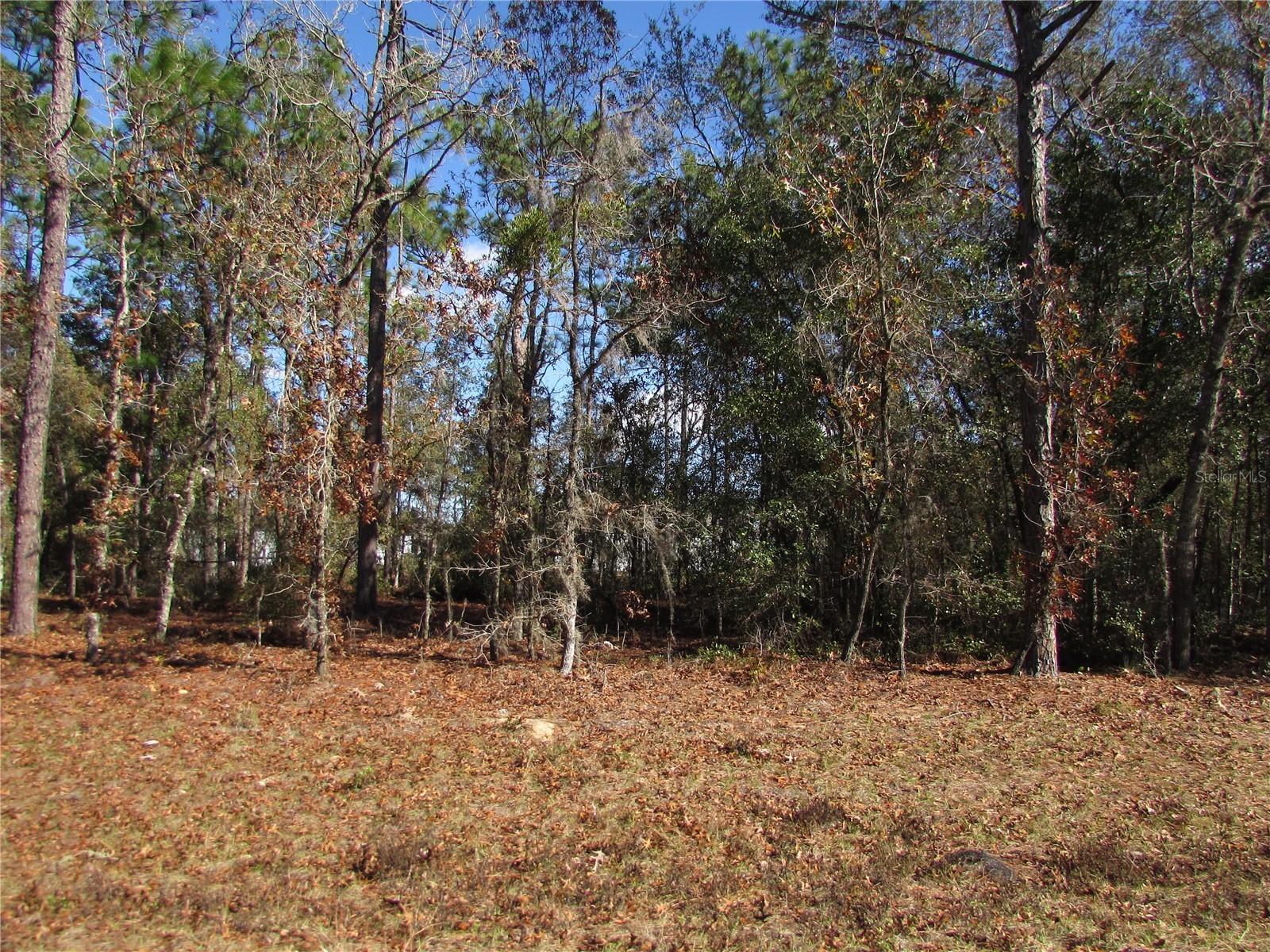 Lot 18 SW 156 Street Ocala FL 34473 OM716718 image9