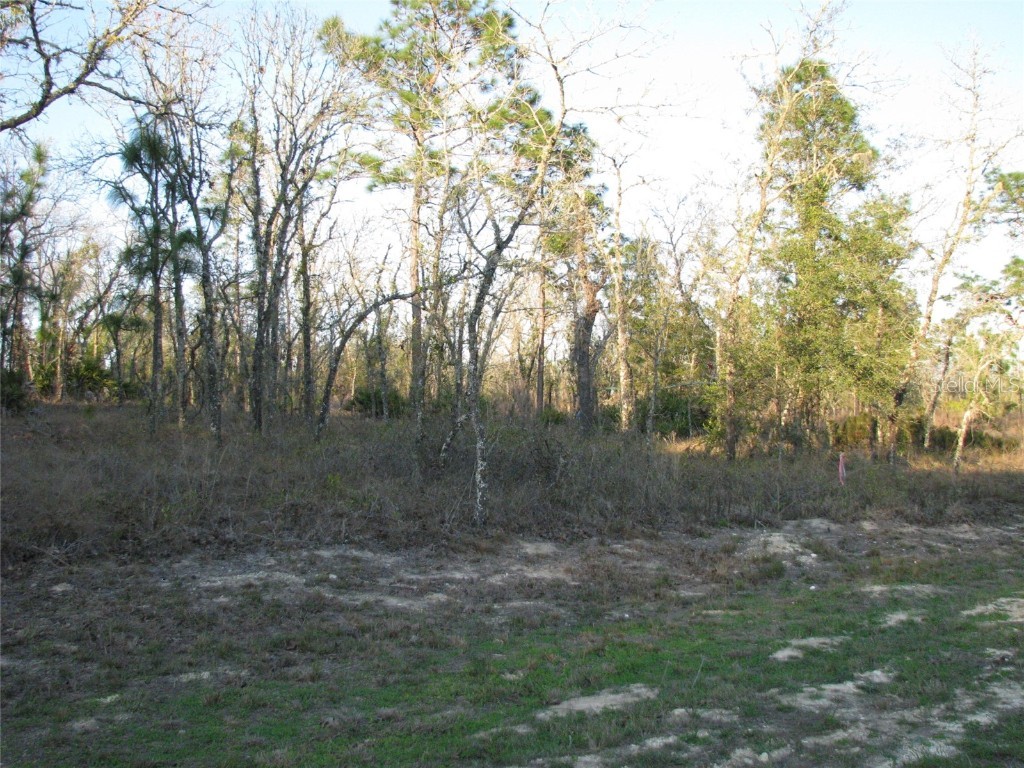 Lot 18 SW 62nd Street Ocala FL 34481 OM695859 image1