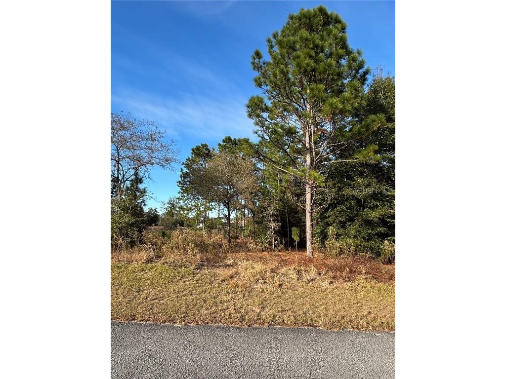 Lot 18 SW 65th Loop Dunnellon FL 34432 - THE RAINBOW RIVER OM690443 image1