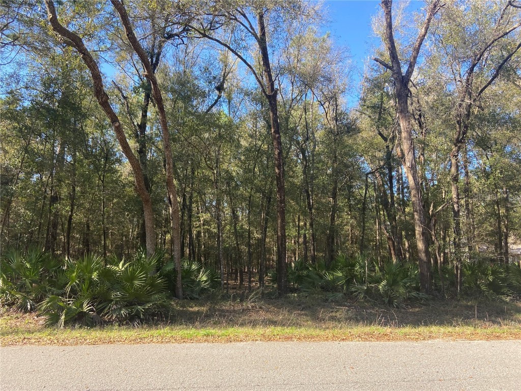 Lot 18 SW 73 Loop Dunnellon FL 34432 OM653697 image1