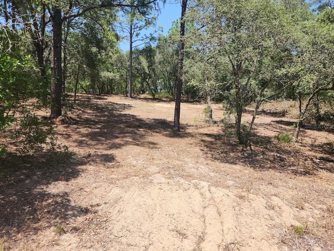 Lot 18 SW Pine Bluffs Road Dunnellon FL 34432 OM711870 image1
