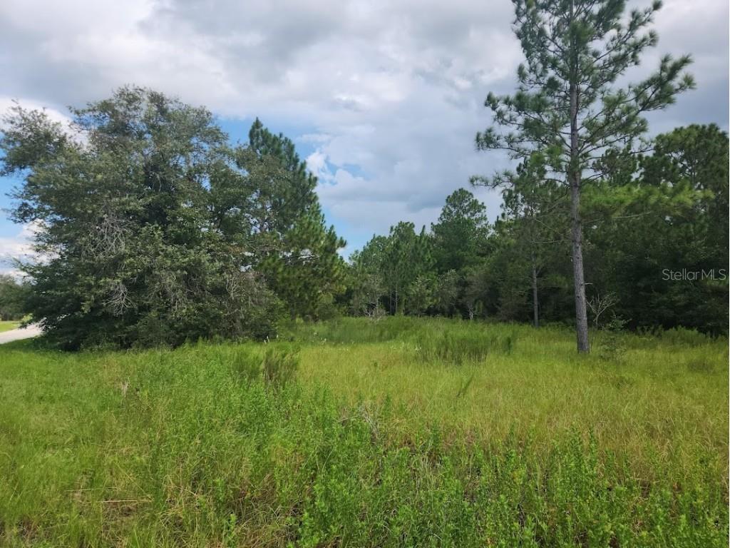 Lot 18 SW Tiger Lake Boulevard Dunnellon FL 34431 OM685108 image1
