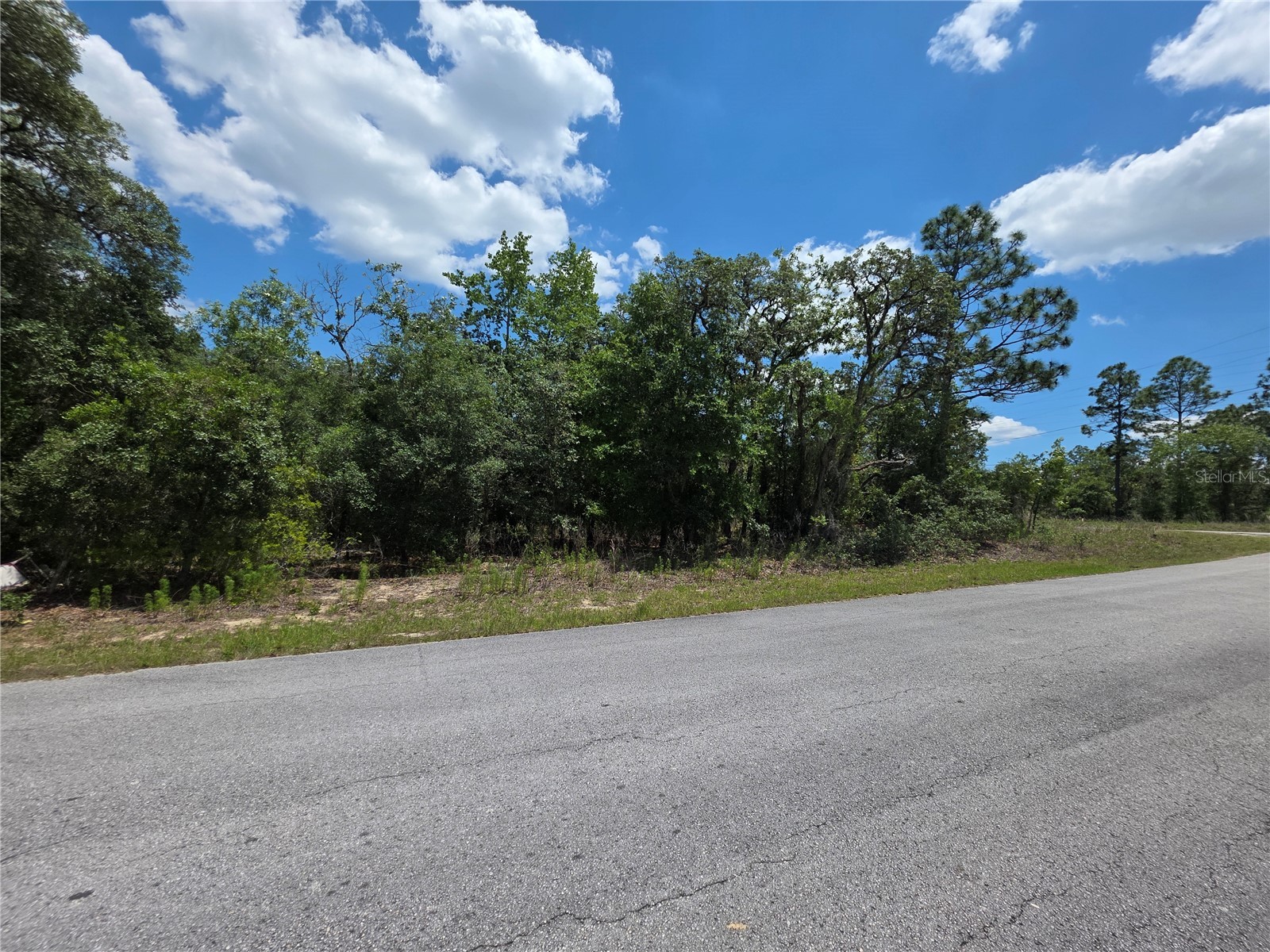 Lot 18 SW Wood Road Dunnellon FL 34431 OM724727 image1