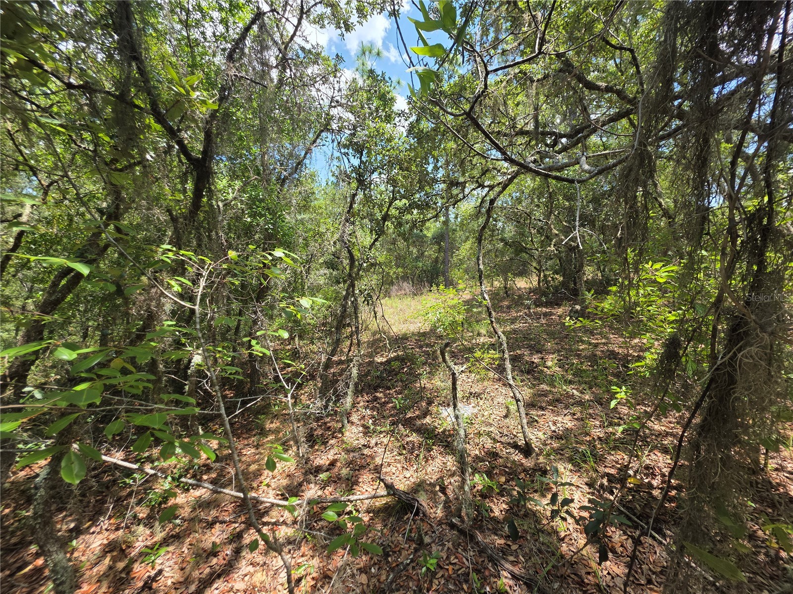 Lot 18 SW Wood Road Dunnellon FL 34431 OM724727 image2