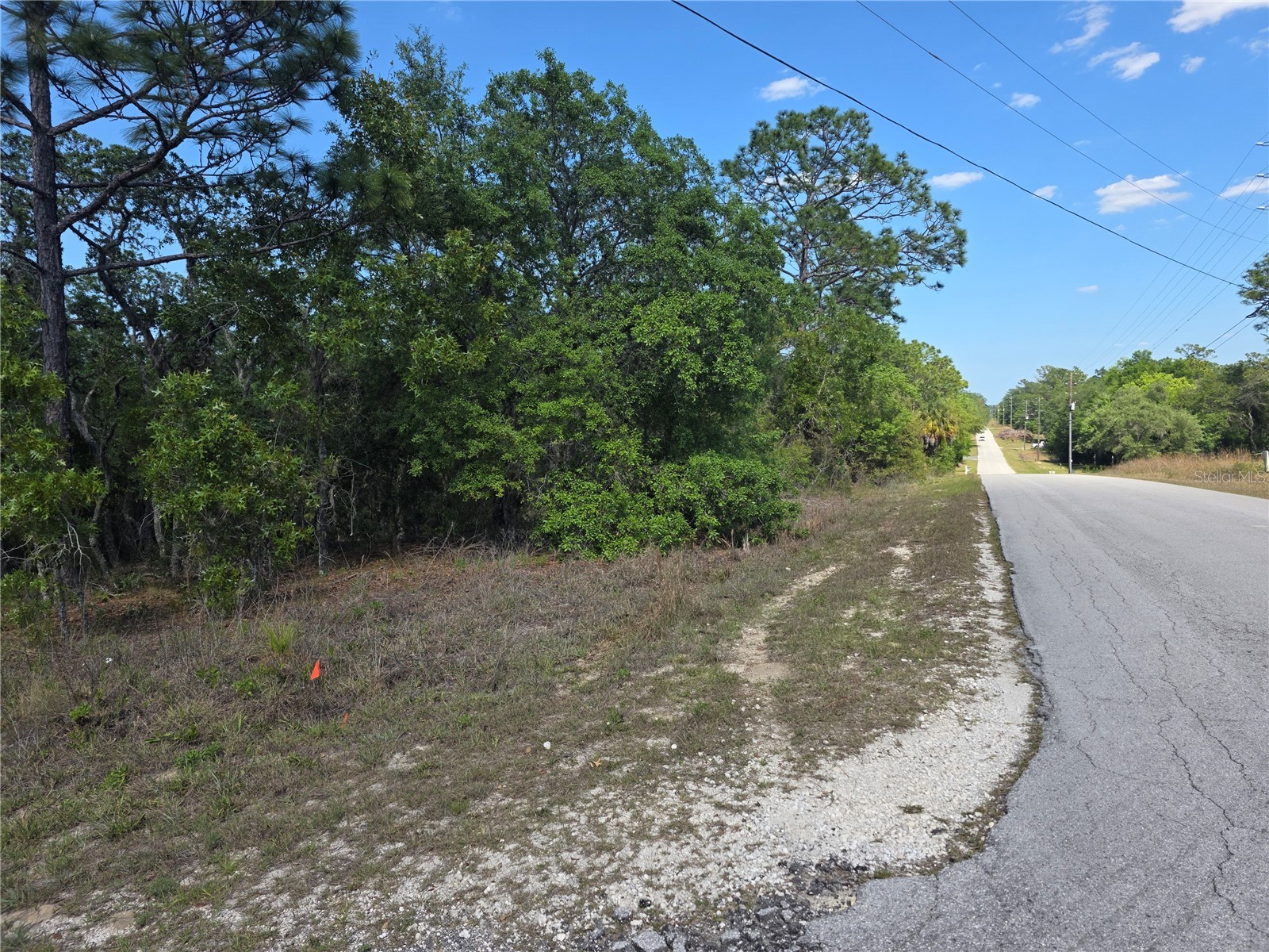 Lot 18 SW Wood Road Dunnellon FL 34431 OM724727 image4