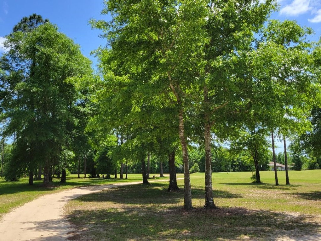 Lot 18 Unit 1 Blk 6 Fusion Circle Chipley FL 32428 OM715254 image12