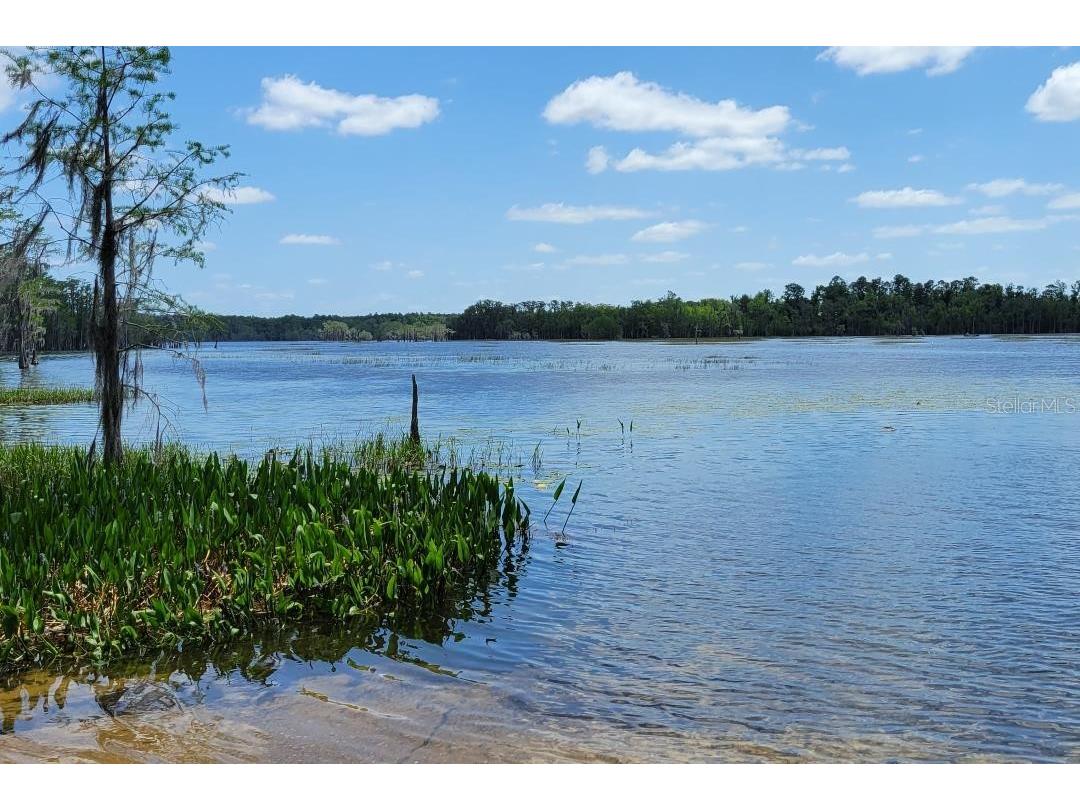 Lot 18 Unit 1 Blk 6 Fusion Circle Chipley FL 32428 OM715254 image14