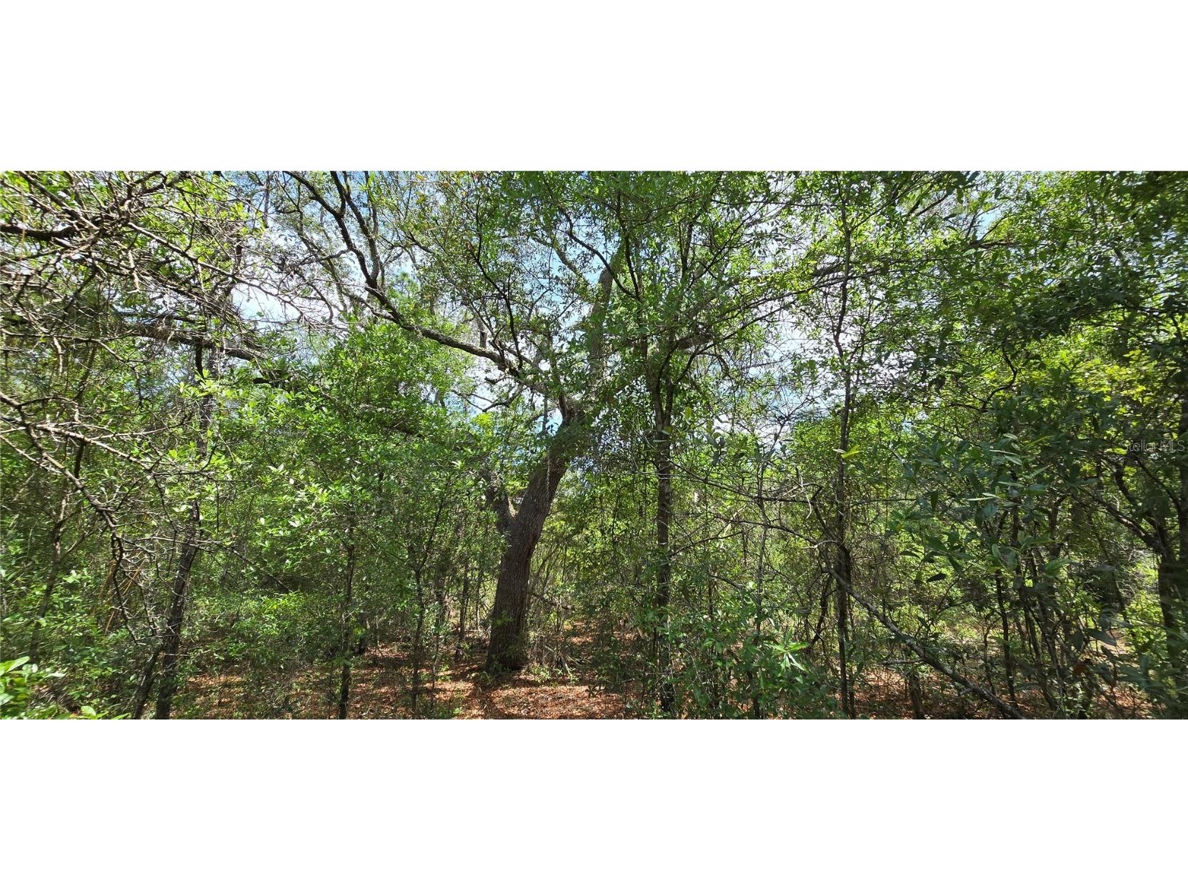 Lot 18 Unit 1 Blk 6 Fusion Circle Chipley FL 32428 OM715254 image8