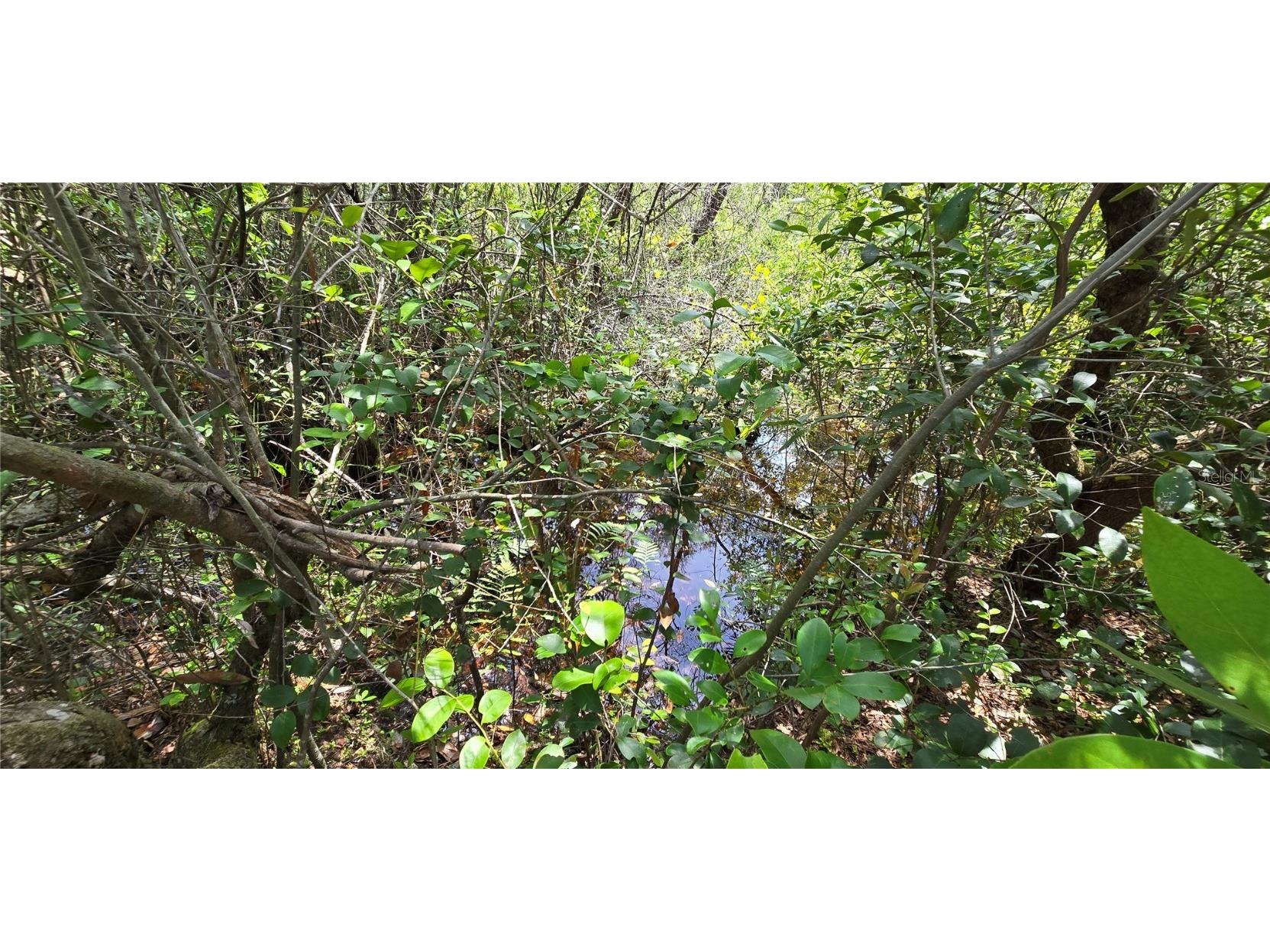 Lot 18 Unit 1 Blk 6 Fusion Circle Chipley FL 32428 OM715254 image9