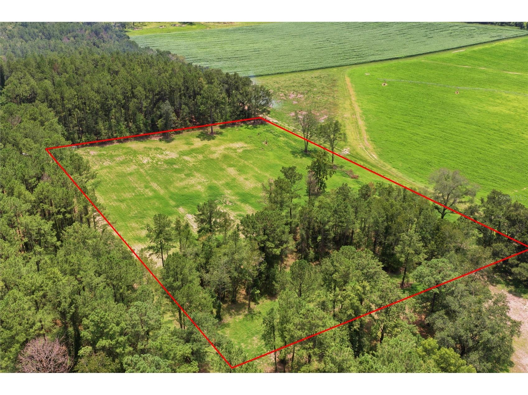 Lot 19 254th Lane Alachua FL 32615 GC541458 image15