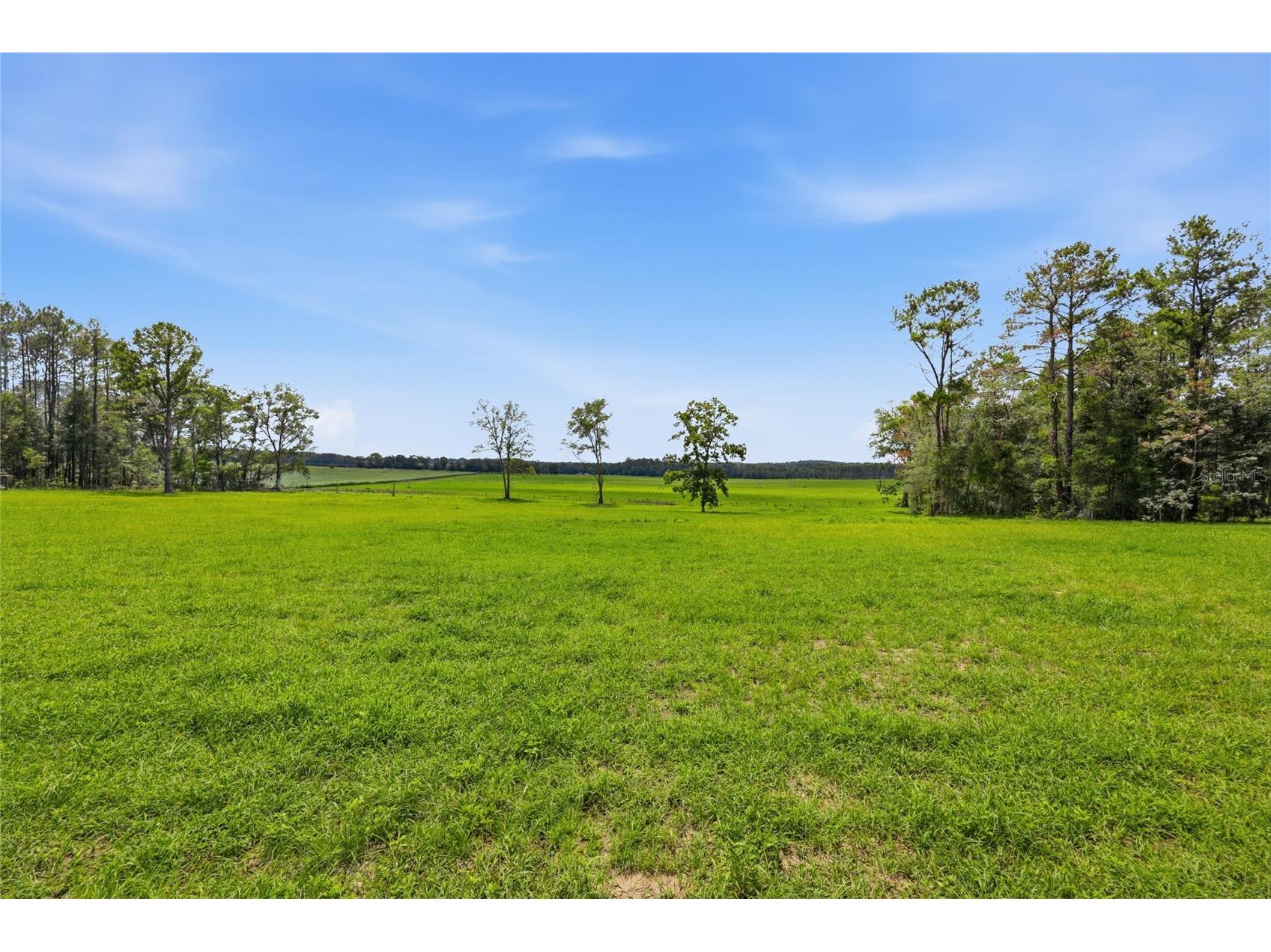 Lot 19 254th Lane Alachua FL 32615 GC541458 image3
