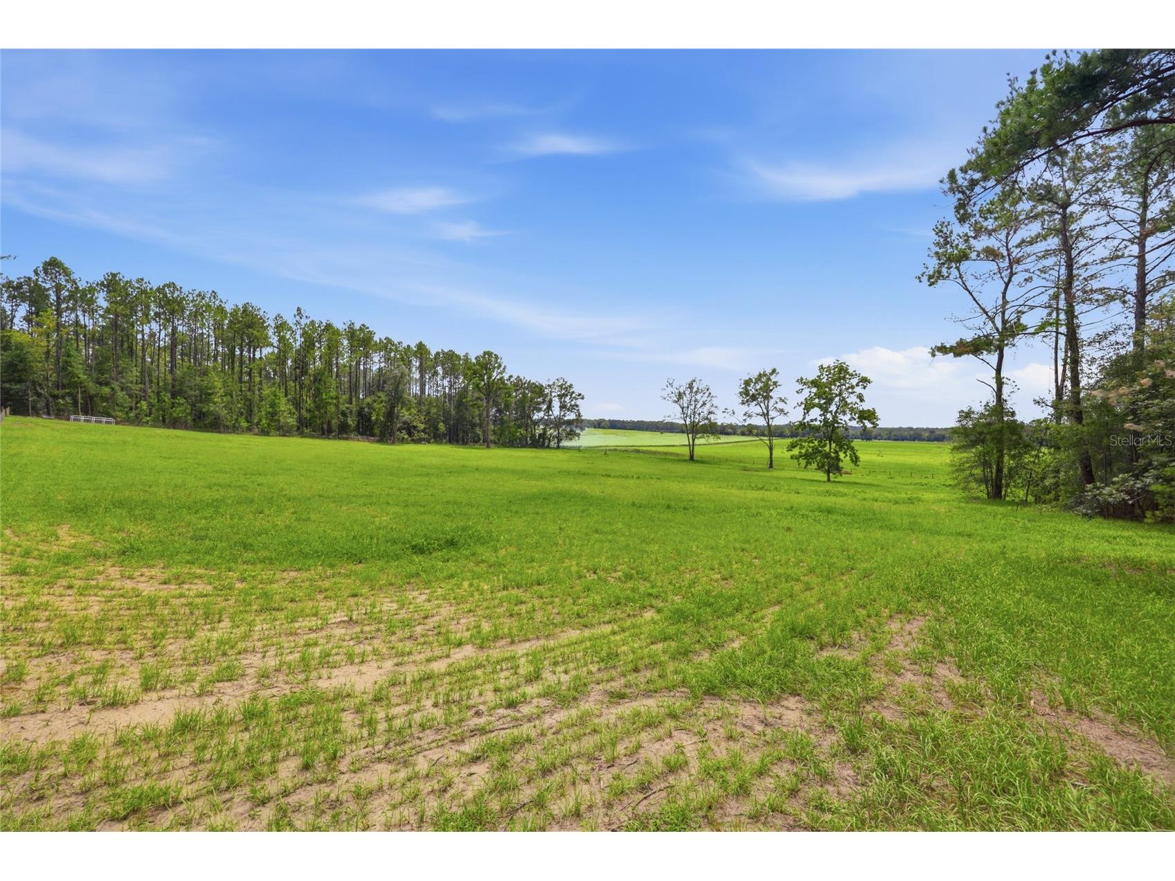 Lot 19 254th Lane Alachua FL 32615 GC541458 image4