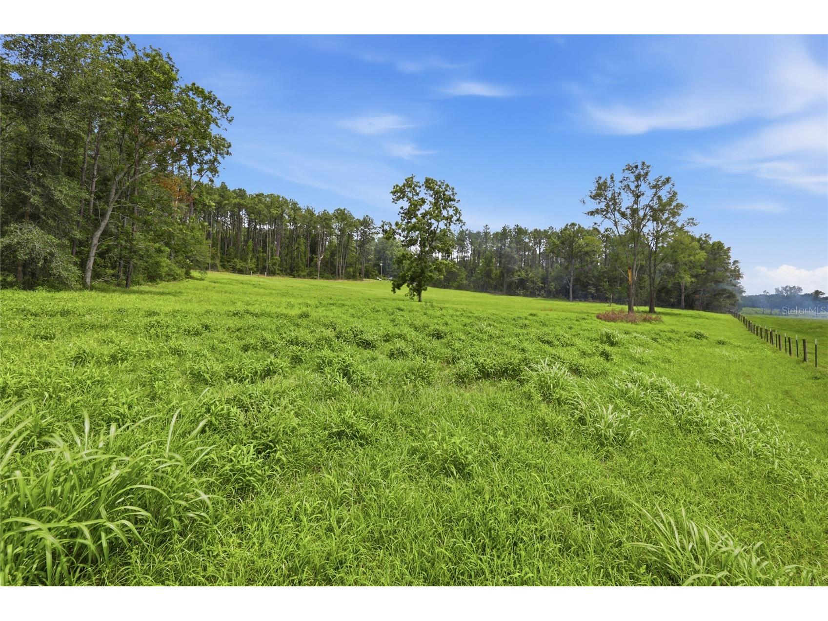 Lot 19 254th Lane Alachua FL 32615 GC541458 image5