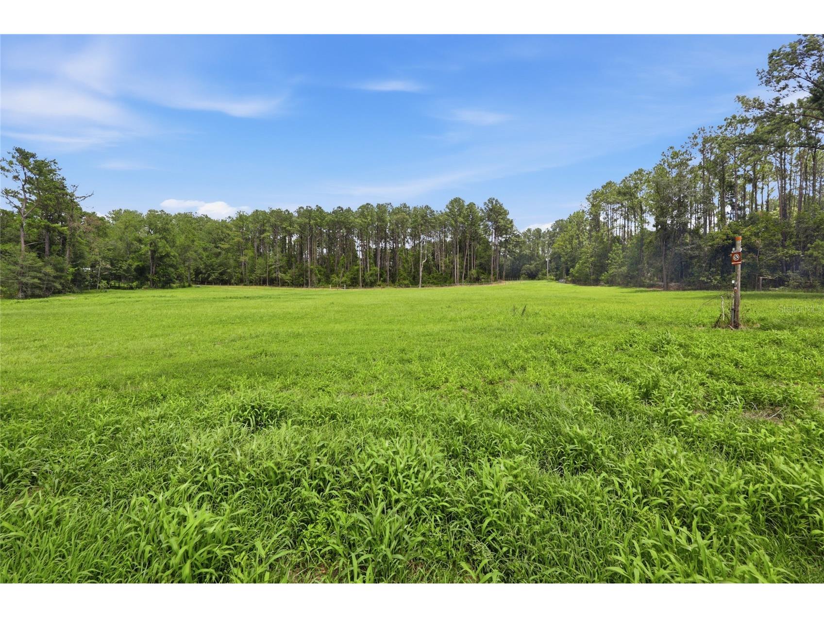 Lot 19 254th Lane Alachua FL 32615 GC541458 image6