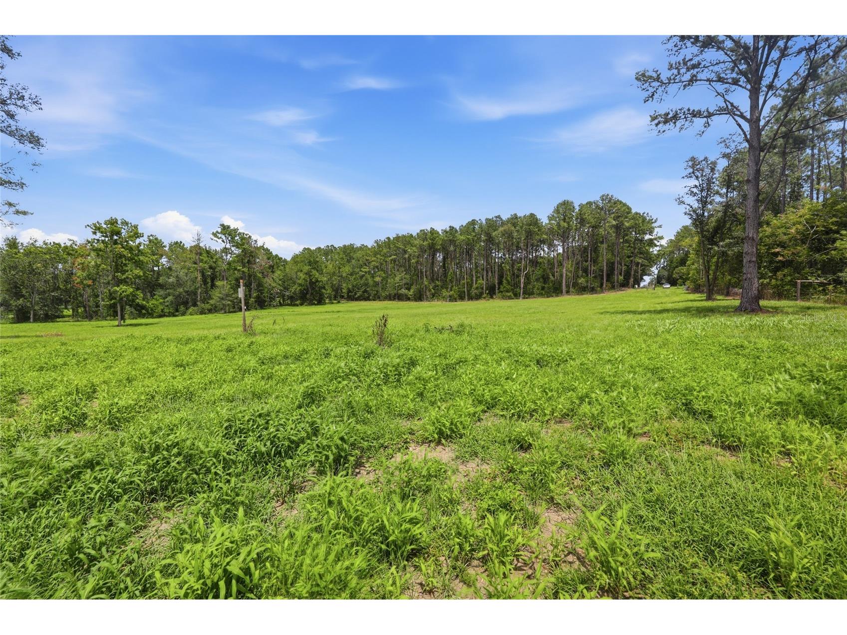 Lot 19 254th Lane Alachua FL 32615 GC541458 image7