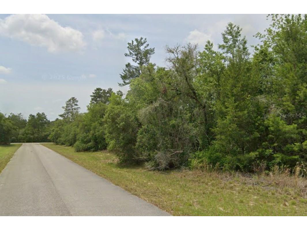 Lot 19 31st Court Ocala FL 34473 OM726420 image3