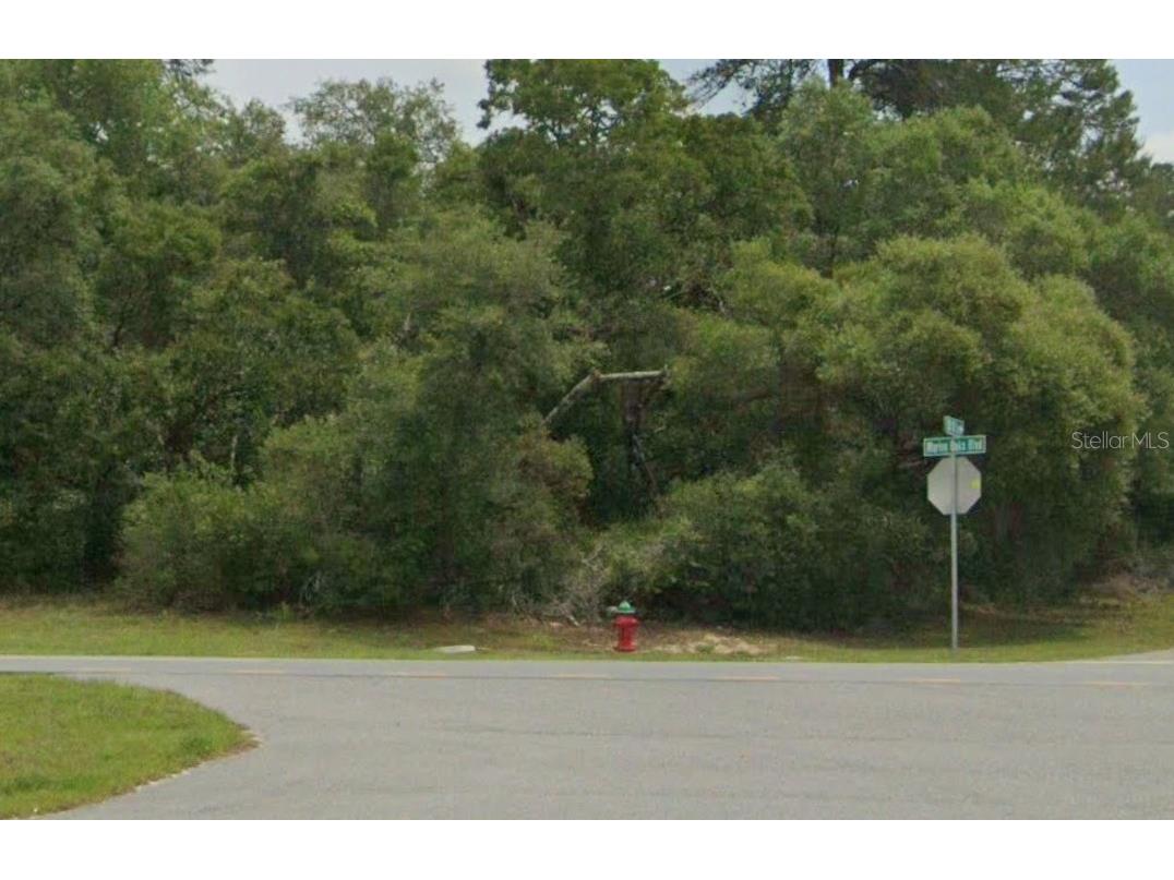 Lot 19 31st Court Ocala FL 34473 OM726420 image4