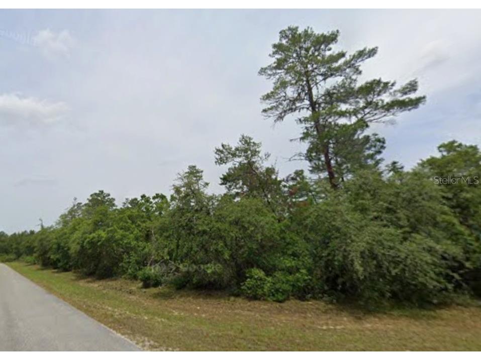 Lot 19 31st Court Ocala FL 34473 OM726420 image5